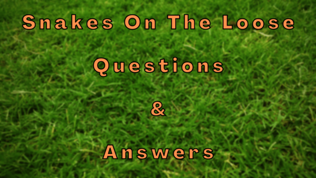 Snakes On The Loose Questions & Answers