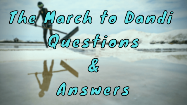 The March to Dandi Questions & Answers
