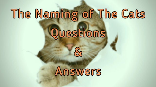 The Naming of The Cats Questions & Answers