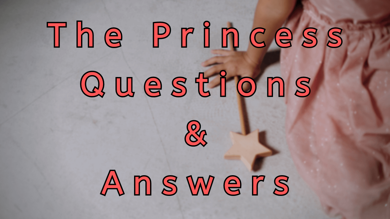 The Princess Questions & Answers - WittyChimp