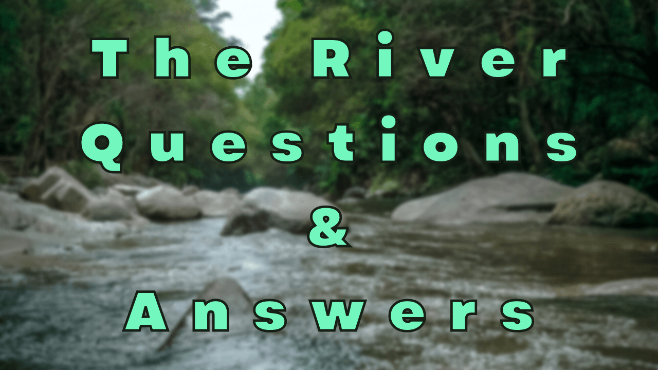 The River Questions & Answers WittyChimp
