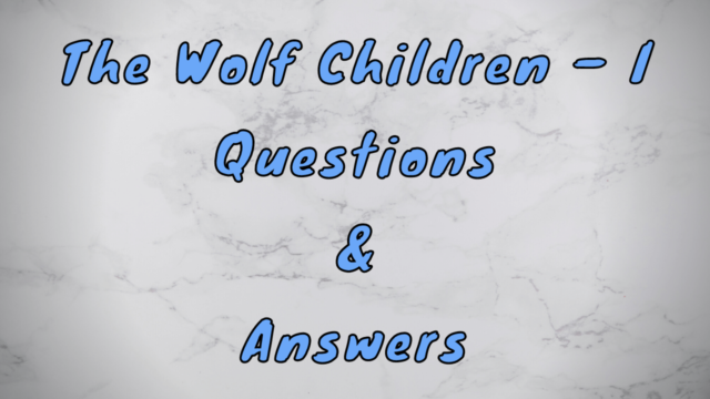 The Wolf Children – I Questions & Answers