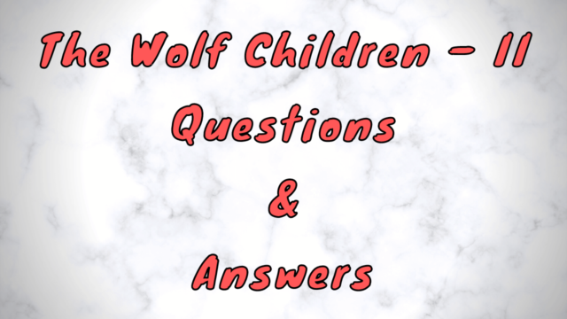The Wolf Children – II Questions & Answers