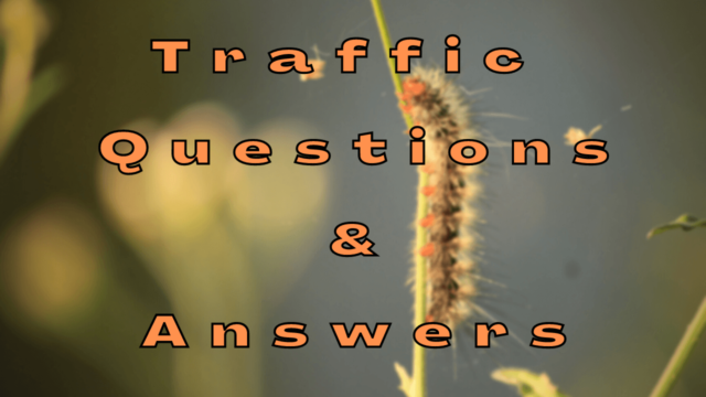 Traffic Questions & Answers