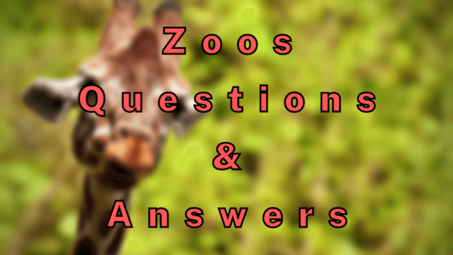 Zoos Questions & Answers
