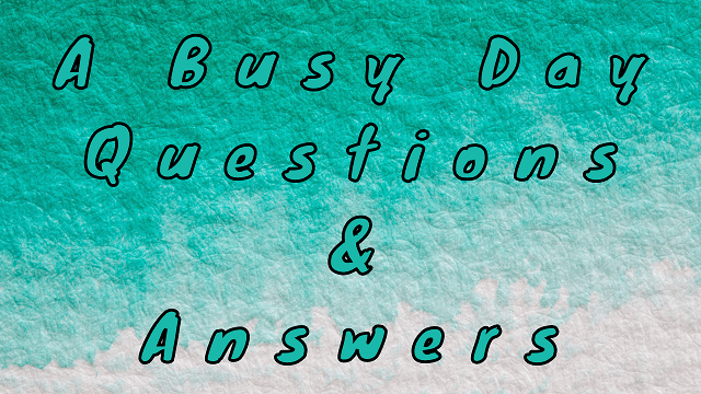 A Busy Day Questions & Answers