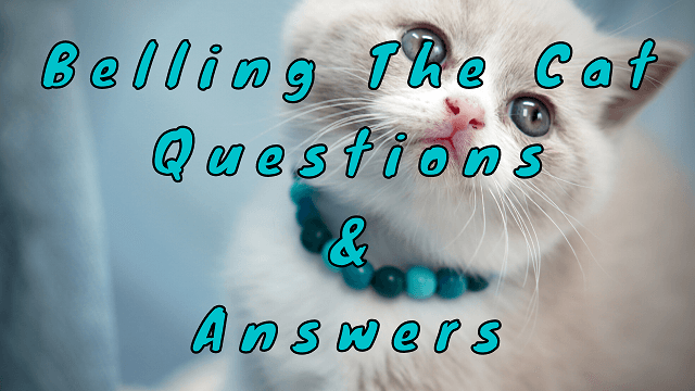 Belling The Cat Questions & Answers