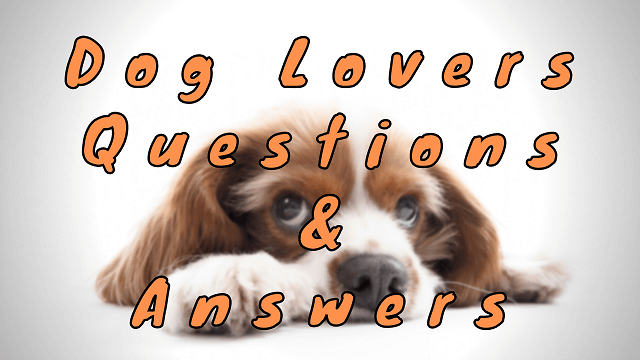 Dog Lovers Questions & Answers