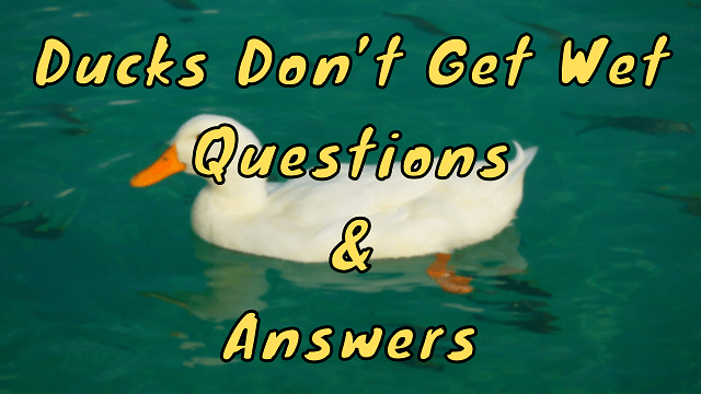 Ducks Don’t Get Wet Questions & Answers