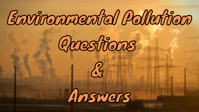 Environmental Pollution Questions & Answers
