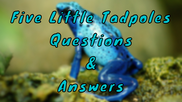 Five Little Tadpoles Questions & Answers