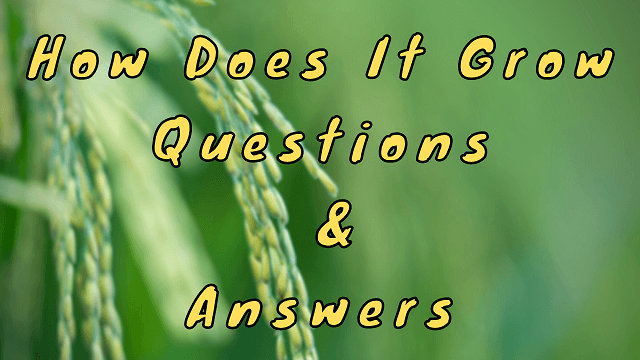 How Does It Grow Questions & Answers