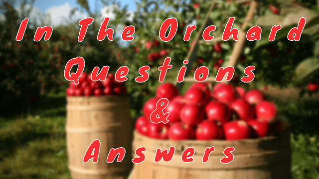 In the Orchard Questions & Answers