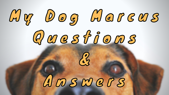 My Dog Marcus Questions & Answers