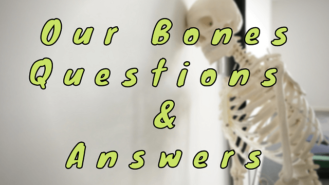 Our Bones Questions & Answers