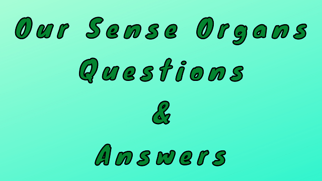 Our Sense Organs Questions & Answers