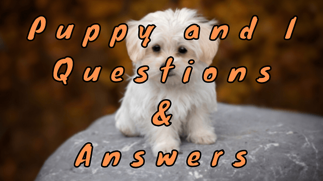 Puppy and I Questions & Answers