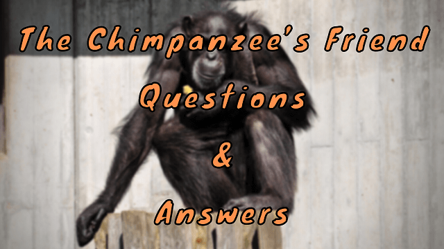 The Chimpanzee’s Friend Questions & Answers