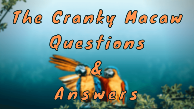 The Cranky Macaw Questions & Answers
