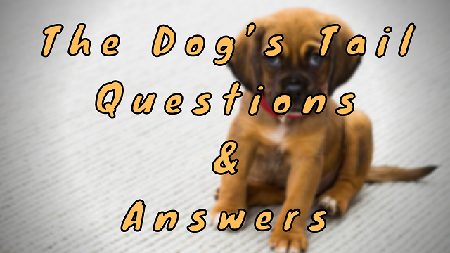 The Dog’s Tail Questions & Answers