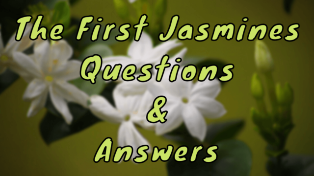 The First Jasmines Questions & Answers