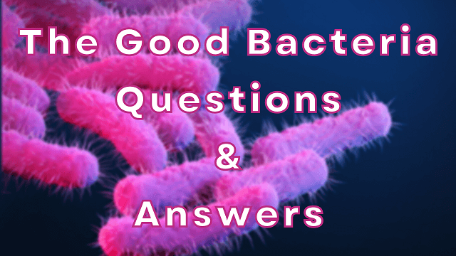 The Good Bacteria Questions & Answers