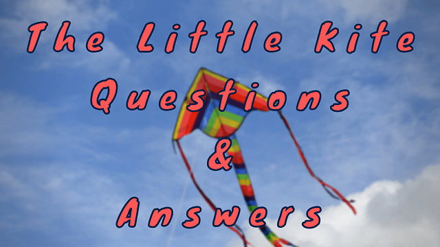 The Little Kite Questions & Answers