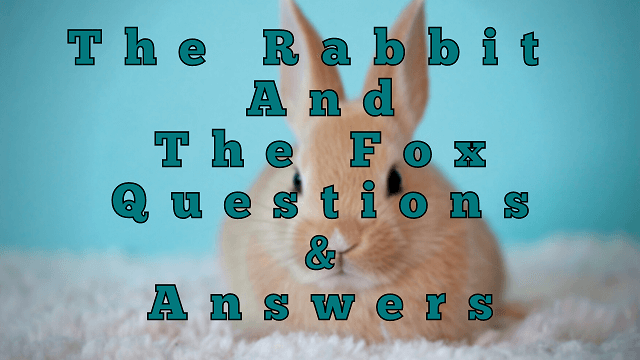 The Rabbit and The Fox Questions & Answers