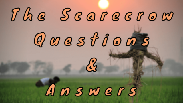 The Scarecrow Questions & Answers