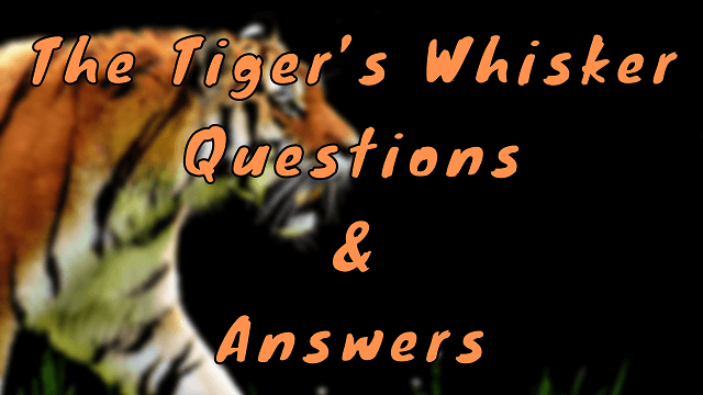 The Tiger’s Whisker Questions & Answers