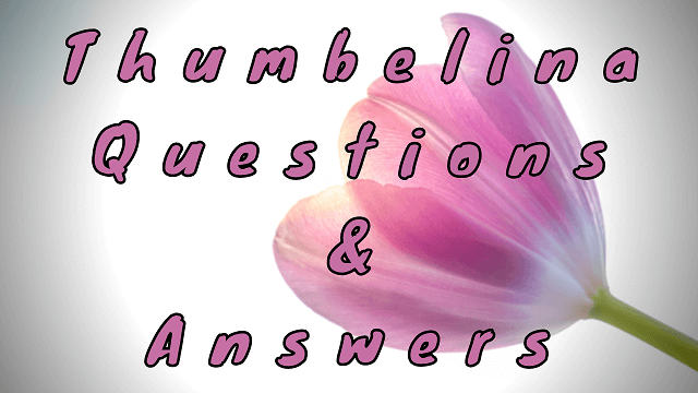 Thumbelina Questions & Answers