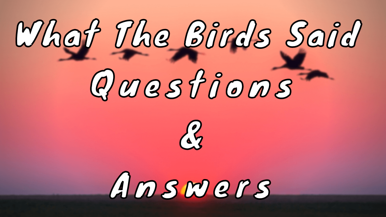 What The Birds Said Questions & Answers