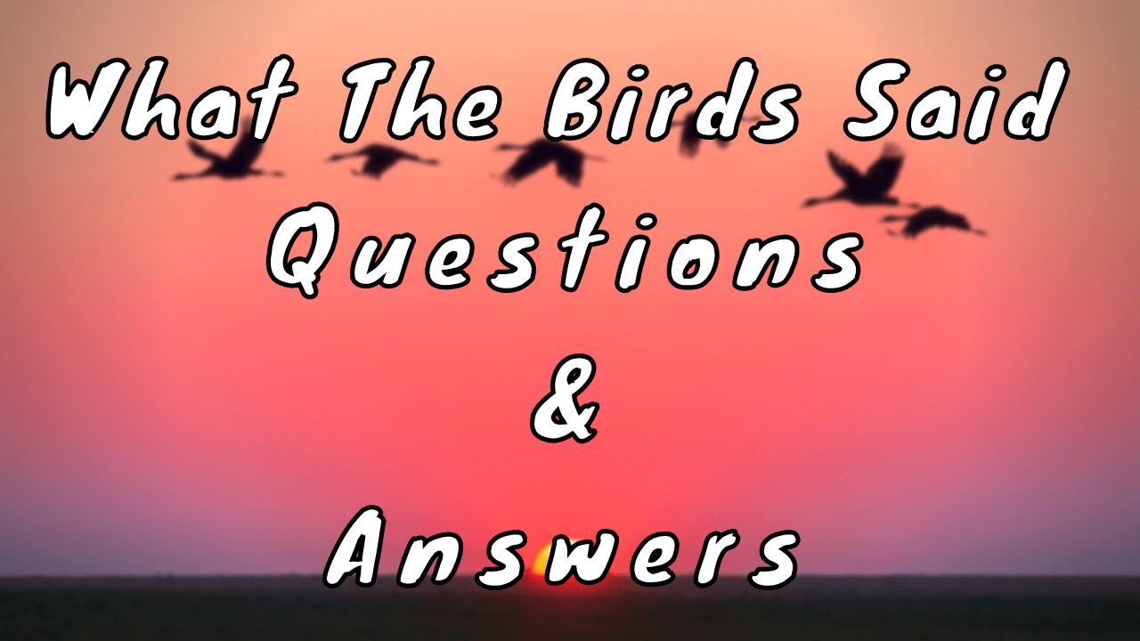 What The Birds Said Questions & Answers WittyChimp