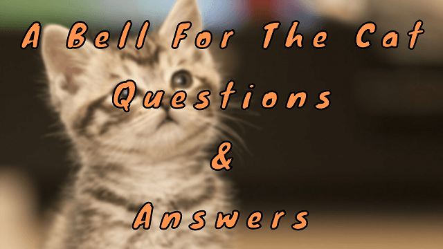 A Bell For The Cat Questions & Answers