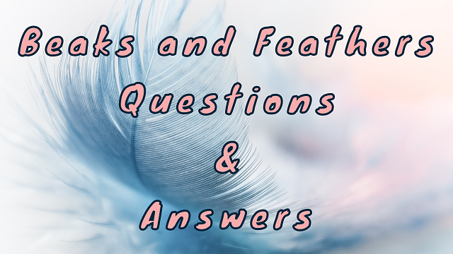 Beaks and Feathers Questions & Answers