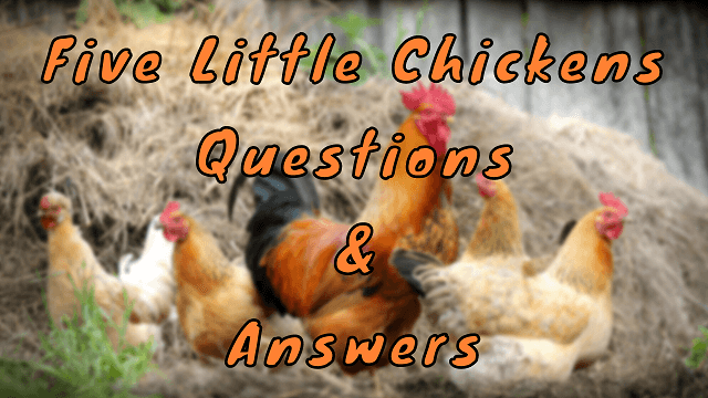 Five Little Chickens Questions & Answers