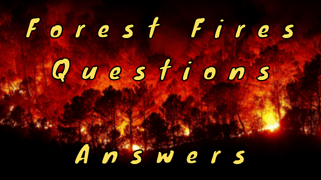 Forest Fires Questions & Answers