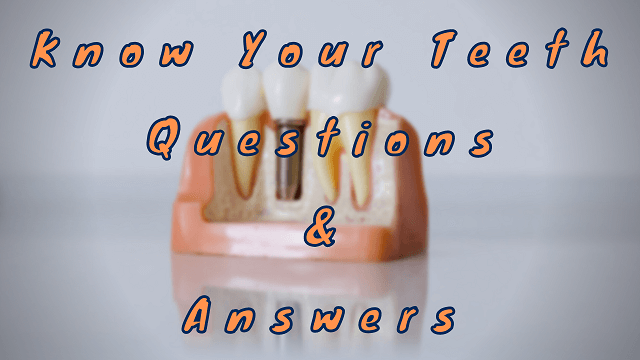 Know Your Teeth Questions & Answers