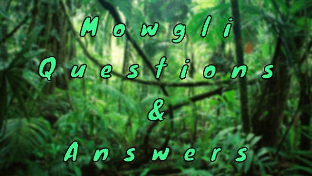 Mowgli Questions & Answers