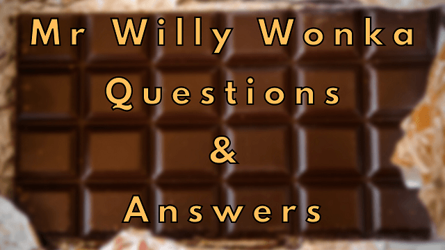 Mr Willy Wonka Questions & Answers