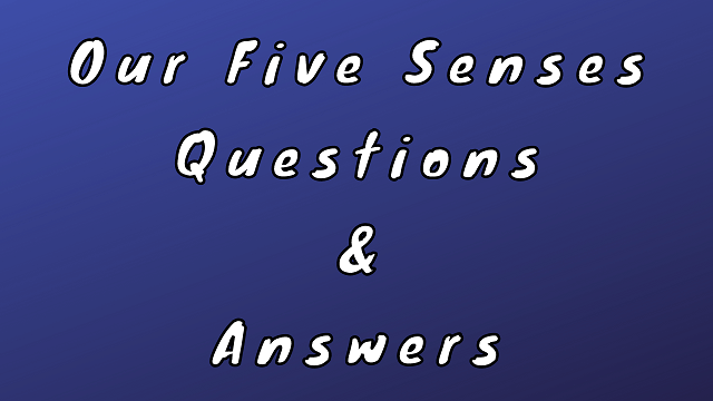 Our Five Senses Questions & Answers