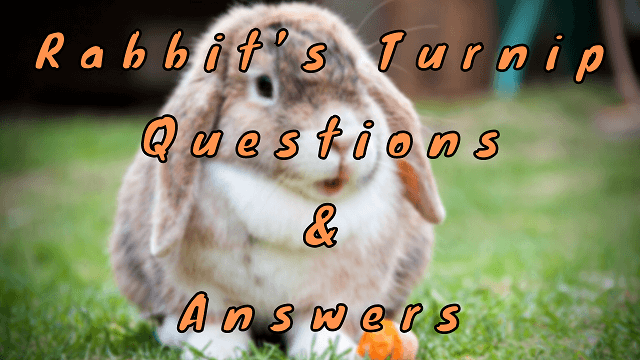 Rabbit’s Turnip Questions & Answers