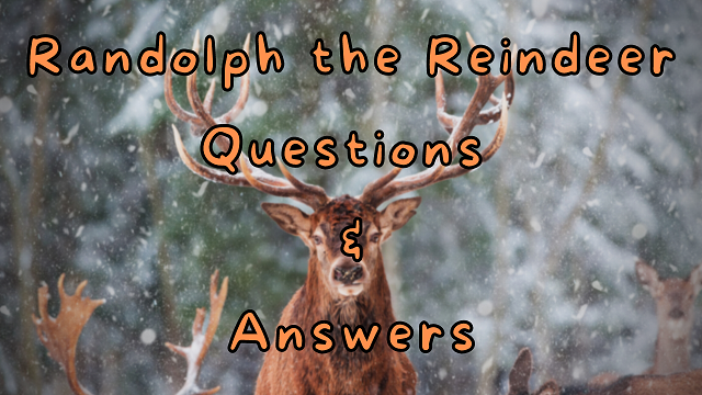 Randolph the Reindeer Questions & Answers