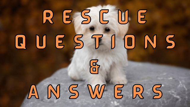 Rescue Questions & Answers