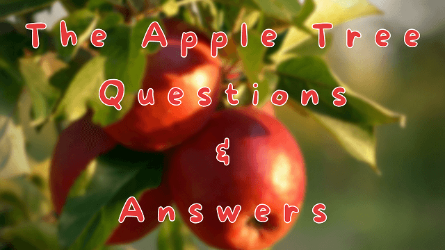 The Apple Tree Questions & Answers