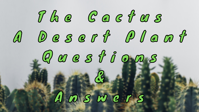 The Cactus A Desert Plant Questions & Answers