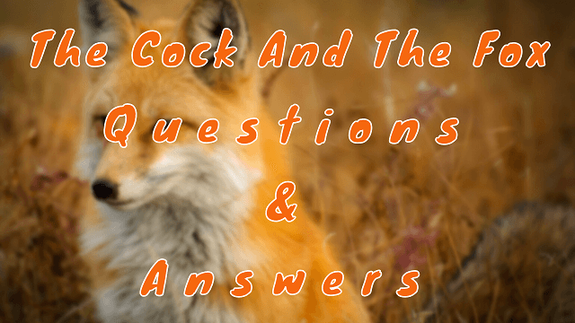 The Cock and The Fox Questions & Answers