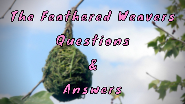 The Feathered Weavers Questions & Answers