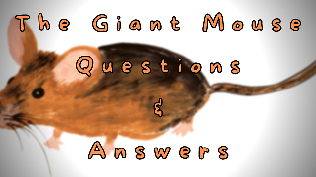 The Giant Mouse Questions & Answers