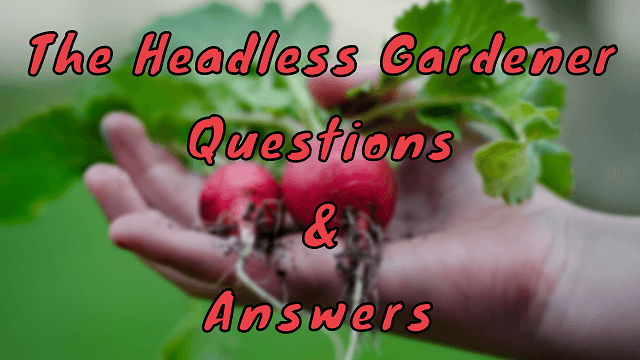 The Headless Gardener Questions & Answers
